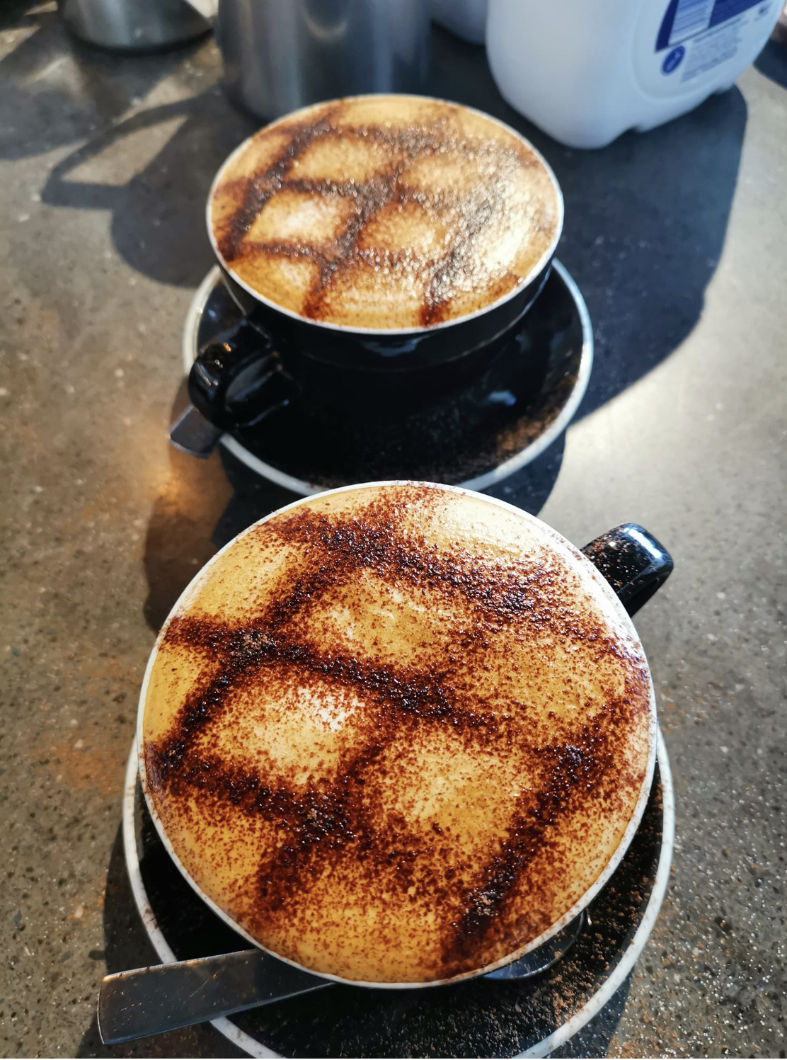 Two cocoa-dusted cappuccinos catching the morning light